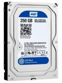 Ổ Cứng HDD 250GB Western Blue 7200Rpm SATA3 6Gbs 3.5"inch Copy
